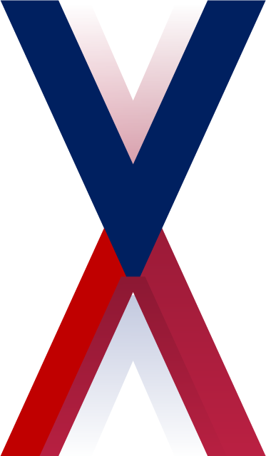 TheVX Logo